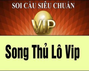 Khái niệm song thủ lô VIP